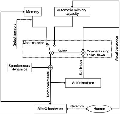 Personogenesis Through Imitating Human Behavior in a Humanoid Robot “Alter3”